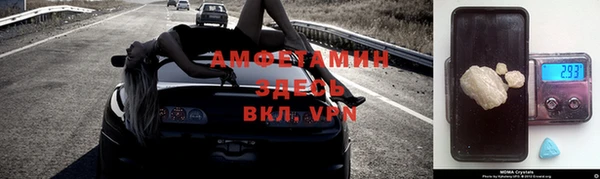 дживик Верхний Тагил