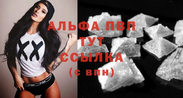 дживик Верхний Тагил
