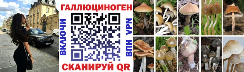 Псилоцибиновые грибы мухоморы Высоцк